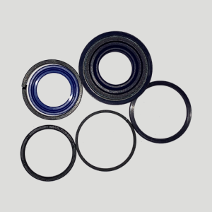 1.Phốt-ty-ra-vô---480x480